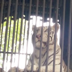 Meet your Posher, Mohammad